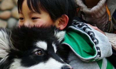 宝宝起名取名李2017年5月