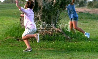 马文什么鸡宝宝起名取名