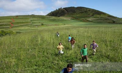 鸡年女宝宝5月起名取名