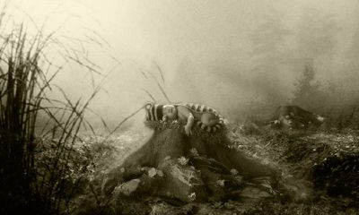 鸡年宝宝起名取名大全姓王