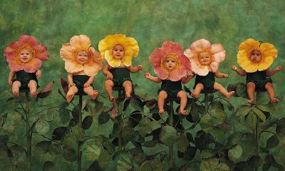 翟姓鸡宝宝起名取名大全