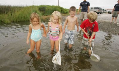 鸡宝宝起名取名用涵好不
