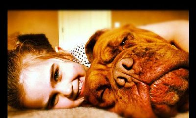 羊年姚姓女宝宝起名取名