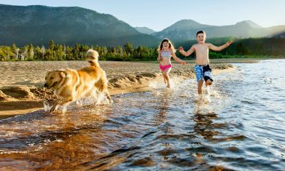 张姓女宝宝起名取名笔画
