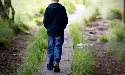 猴年谷姓男宝宝起名取名字