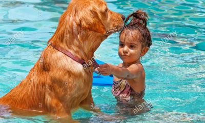 宝宝起名取名乳名字大全