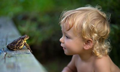 一七午鸡宝宝起名取名大全