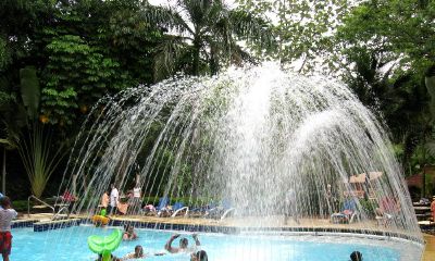 姓林鸡年出生宝宝起名取名