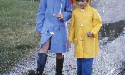 姓郑属鸡女宝宝起名取名