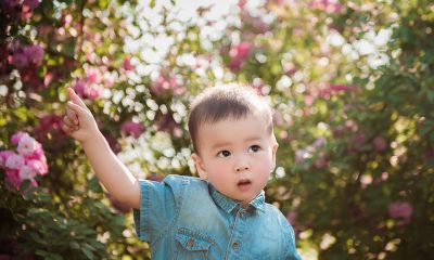 鸡年宝宝起名取名带睿字