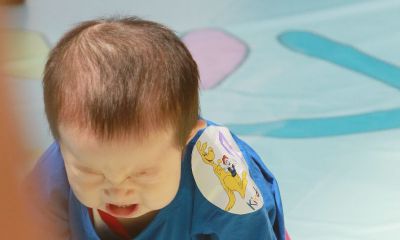 给姓赵的鸡宝宝起名取名字