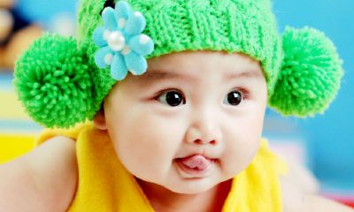 姓宋的鸡宝宝起名取名大全