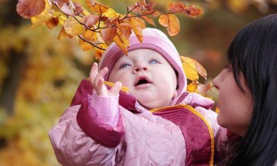 羊年宝宝起名取名峰还是锋