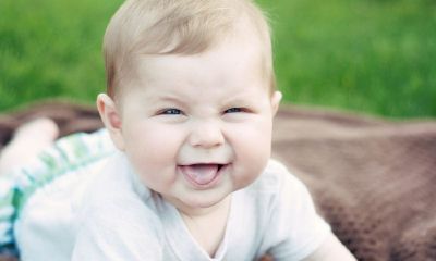 鸡年宝宝起名取名带晗字