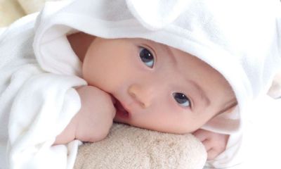 岑姓属鸡男宝宝起名取名