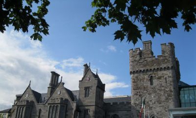 六月的鸡宝宝起名取名