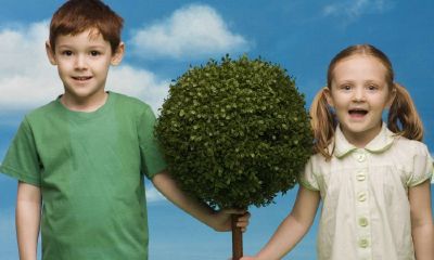 邦鸡宝宝起名取名性钟