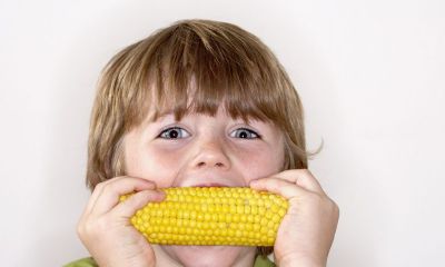 宝宝起名取名女孩姓刘