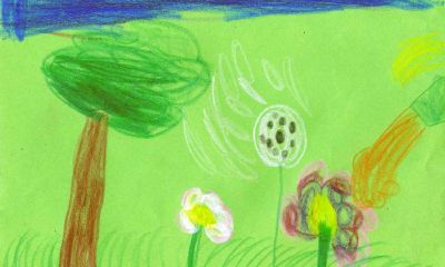 鸡宝宝起名取名字注意事项