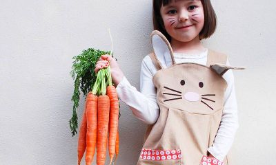 鸡宝宝起名取名大全小名