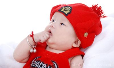 鸡年赵姓宝宝起名取名大全