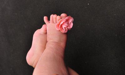 鸡年5月出生宝宝起名取名