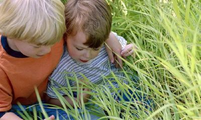 求宝宝智能起名取名序列号