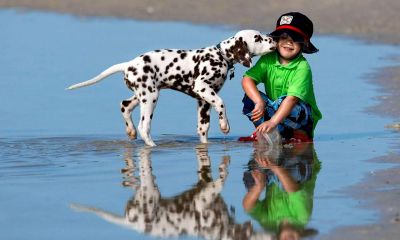 六月鸡年宝宝起名取名大全