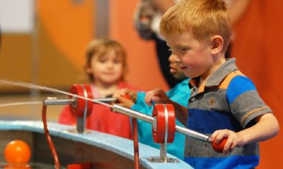 葛姓鸡宝宝起名取名