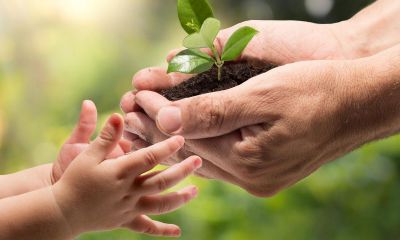 2016陈氏宝宝起名取名大全