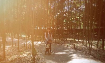 孙姓鸡宝宝起名取名