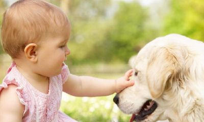 2017年宝宝起名取名字姓李