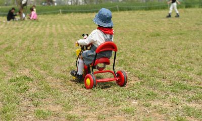 结婚纪念日生宝宝起名取名