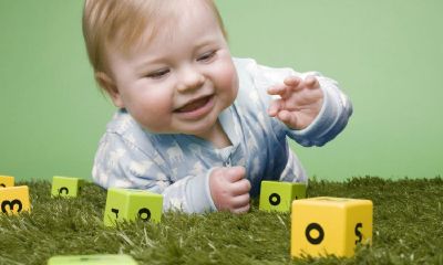 朱性男孩猴宝宝起名取名字