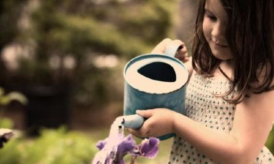 男猪宝宝起名取名大全