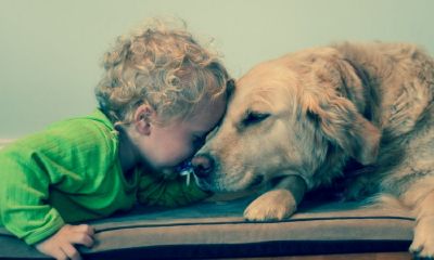 给姓马的宝宝起名取名字