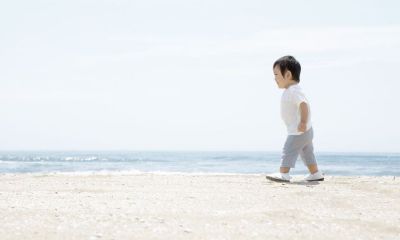 马年宝宝起名取名张萌