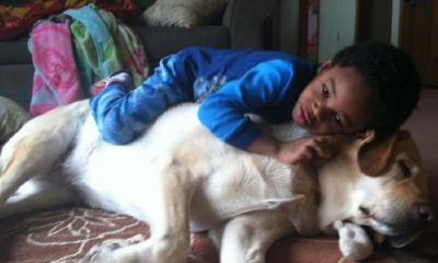 给宝宝起名取名张其琛好吗