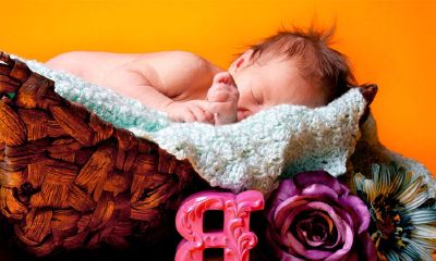 邵姓女孩起名取名鸡宝宝