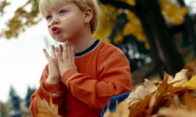 鸡宝宝起名取名寓意好的字