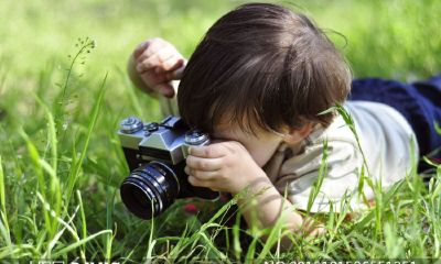 猴年11月出生的宝宝起名取名大全