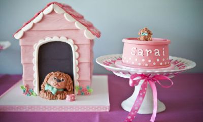 鸡年宝宝起名取名不宜带啥