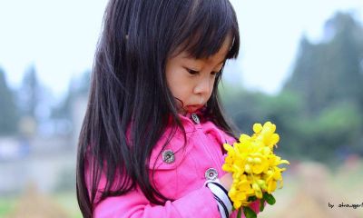 鸡年宝宝起名取名宜用偏旁