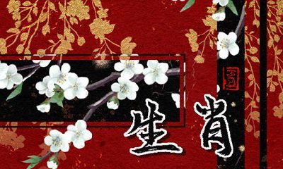 女人什么属相最好命 生肖猴的女人机智过人