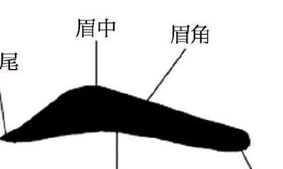 男人右眼眉毛里有痣