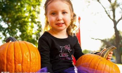 蛇宝宝快速起名取名