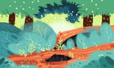 属龙的人被骗婚时什么反应？