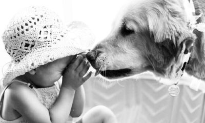 宝宝起名取名独一无二的