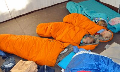 腊月出生的马宝宝起名取名