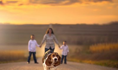 2017年7月宝宝起名取名